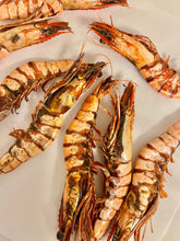 Load image into Gallery viewer, Tiger Shrimp