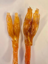 Load image into Gallery viewer, Y-Shape Beef Tendon Chews